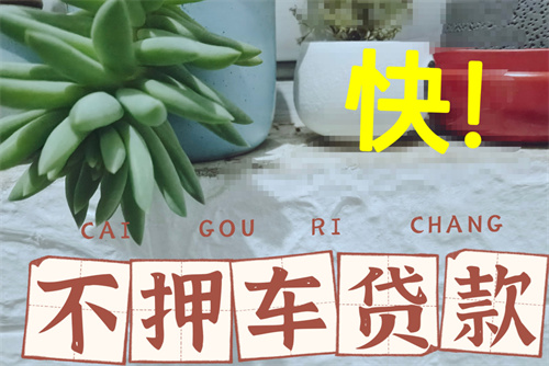 如何用汽车抵押贷款？